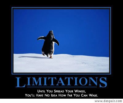 Limitaciones