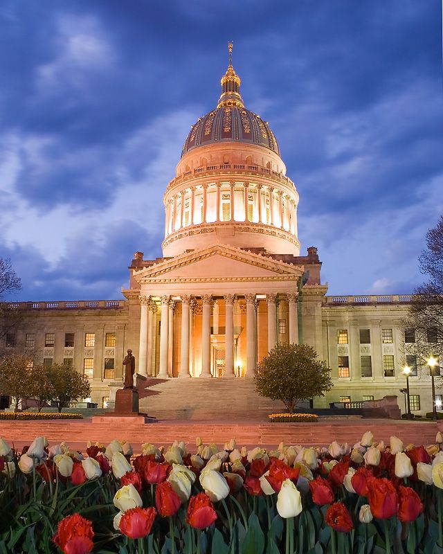 IMAGE: http://i24.photobucket.com/albums/c27/SquirrellyWV/IMG_0380-3.jpg