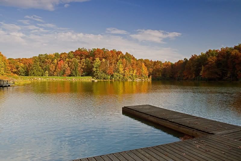 IMAGE: http://i24.photobucket.com/albums/c27/SquirrellyWV/IMG_3178.jpg