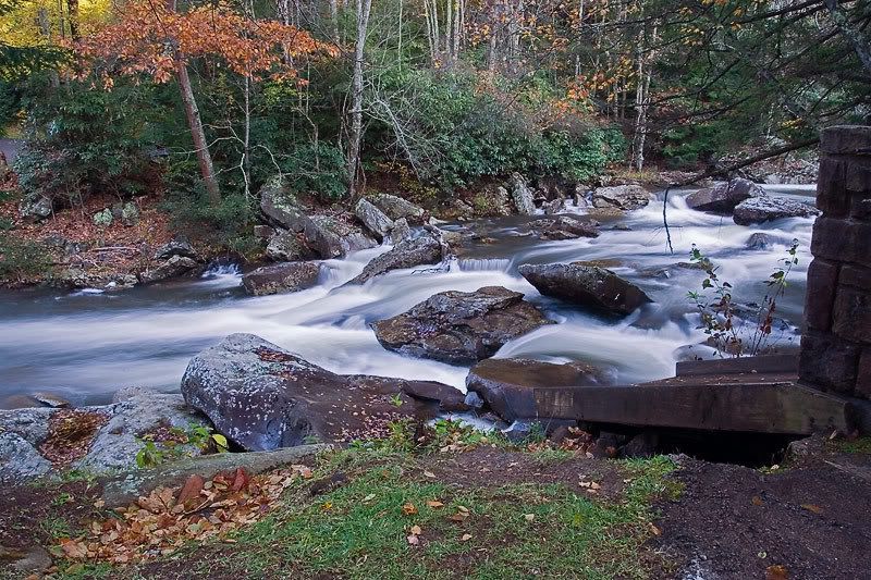 IMAGE: http://i24.photobucket.com/albums/c27/SquirrellyWV/IMG_3281.jpg