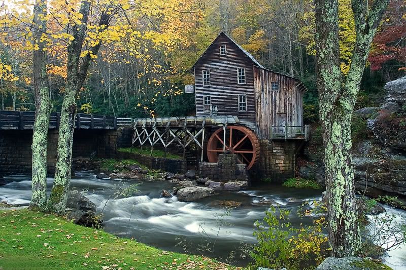 IMAGE: http://i24.photobucket.com/albums/c27/SquirrellyWV/IMG_3301.jpg