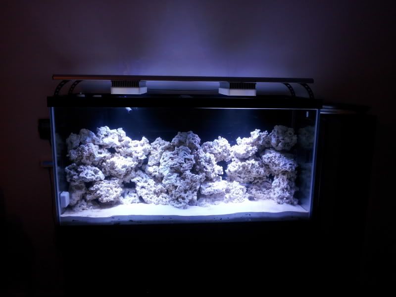 2011 06 20131813 - 90g Mixed Reef Build!