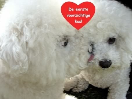 Dréke en Zoety