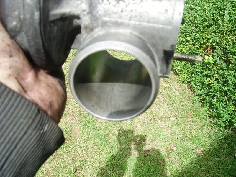 Posted Image