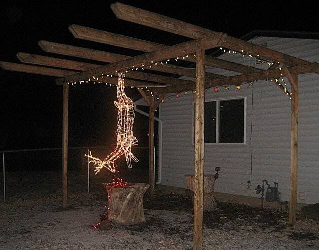 Redneck deer hunter Christmas lights.... - MyLesPaul.com
