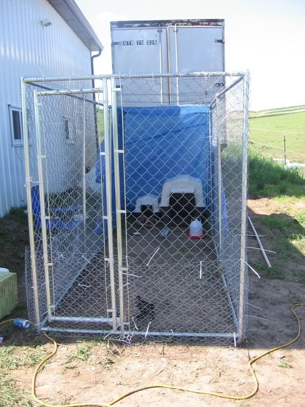 Redneck coop!! but it works BackYard Chickens Learn How to Raise