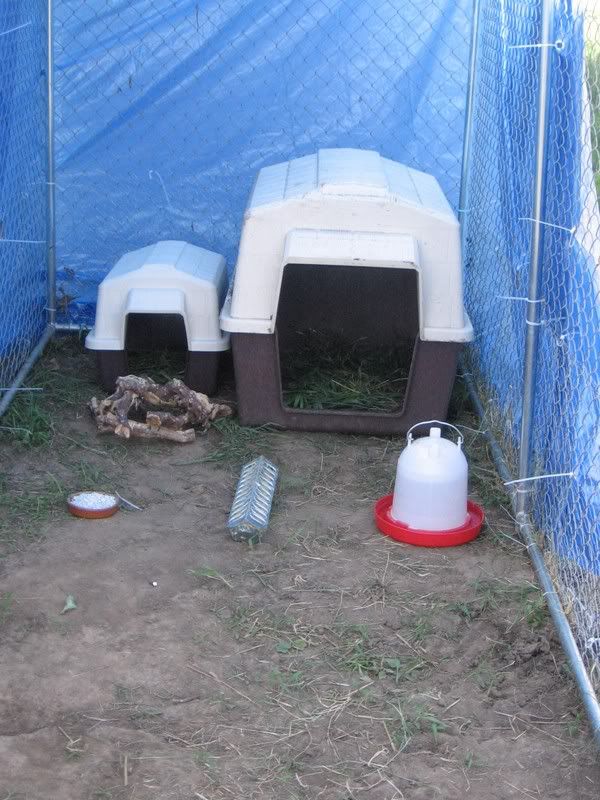 Redneck coop!! but it works BackYard Chickens Learn How to Raise