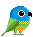 parakeet pixel Pictures, Images and Photos