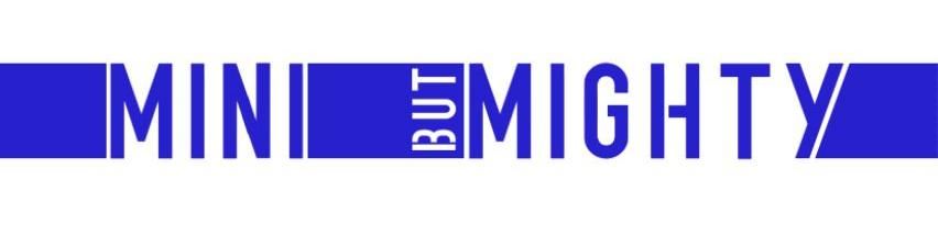 MiniMightyLogo2.jpg~original