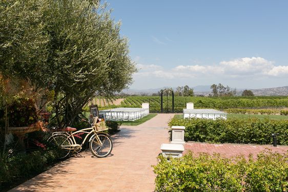  Temecula Wine Country Wedding 