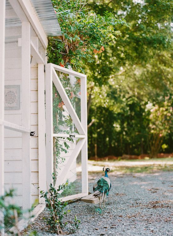  A Southern Vow Renewal in South Carolina