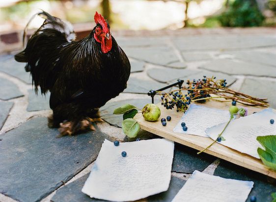  A Southern Vow Renewal in South Carolina