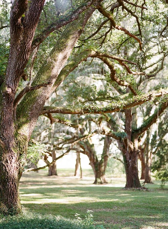  Under the Tuscan Sun Wedding Inspiration, Emily Katharine Photography, Amber Veatch Designs, Andrea Layne Floral Design, Emily Katharine Photography