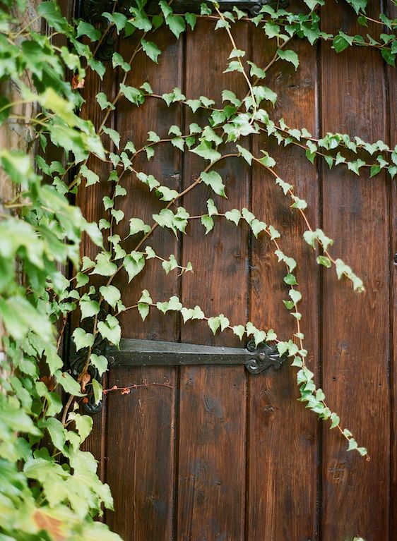  Moody Fall Wedding Inspiration with Lush Florals, Photography by Emily Katharine, Event Design by Lindsey Zamora, Florals by Poppy Lane Design