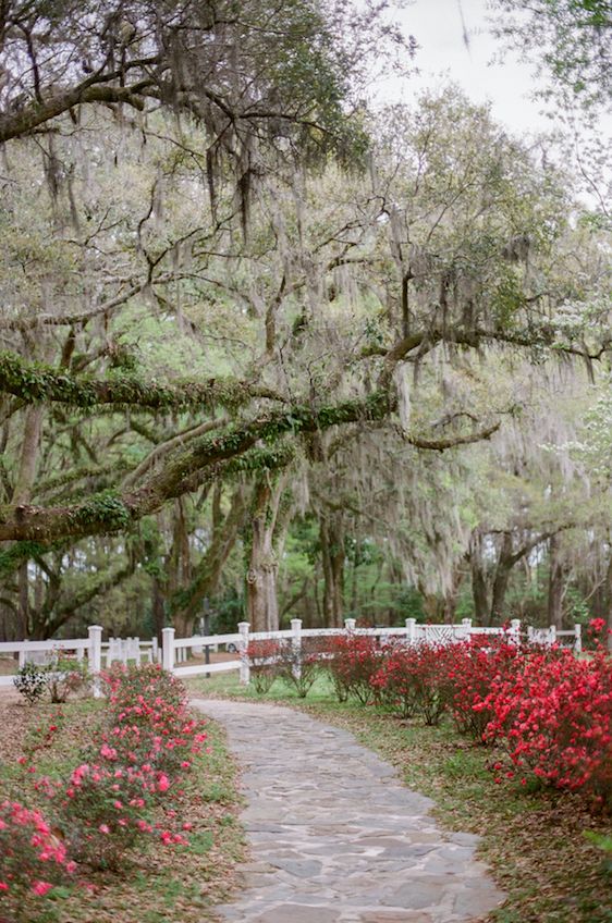  A Styled Wedding at Hopsewee Plantation, Ava Moore Photography, Smells Like Peonies Events, Wild Flowers Inc. border=