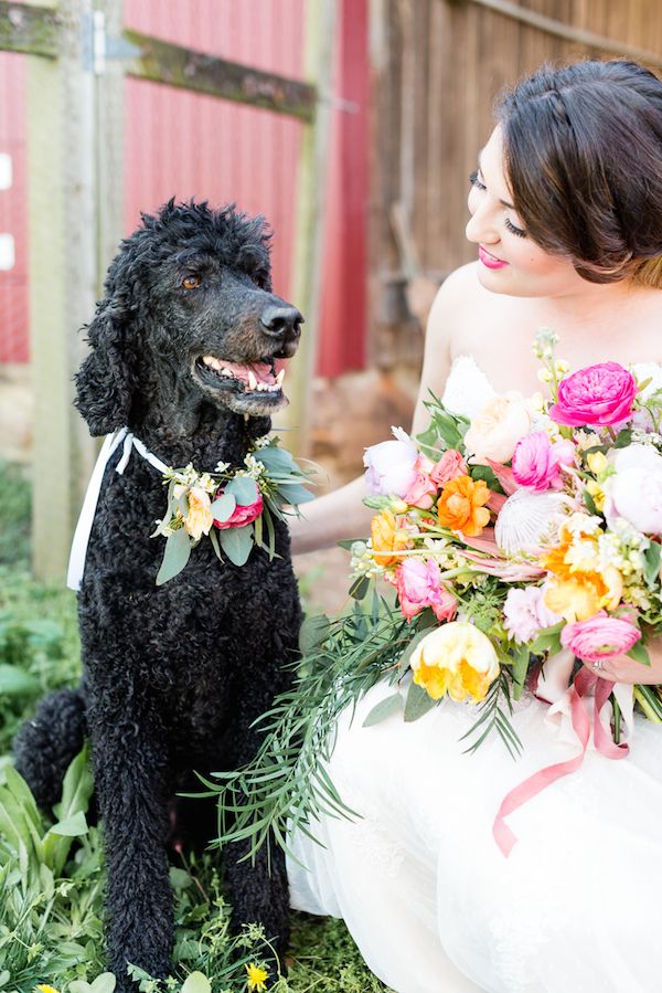  Shepard's Farm Wedding Inspiration 