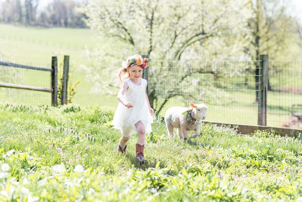  Shepard's Farm Wedding Inspiration 