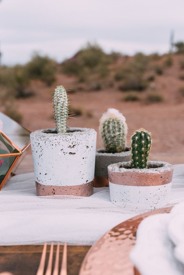  Copper & Rose Desert Romance