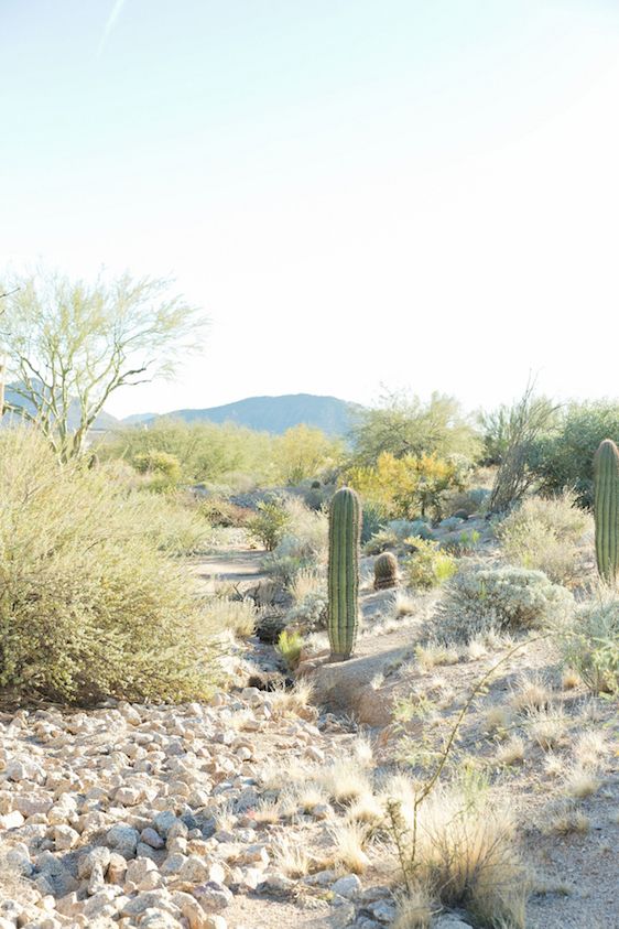  Smitten in Scottsdale: A Wedding to Remember, Ryan Nicole Photography, I Do I Do Wedding Specialists