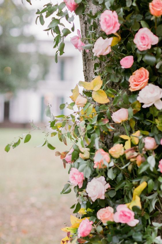  Southern Bohemian Wedding Inspiration, Tracy Burch Photography, Petal and Pine