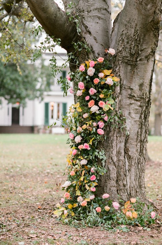  Southern Bohemian Wedding Inspiration, Tracy Burch Photography, Petal and Pine