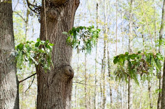  A Bohemian Woodland Engagement Shoot, Tangie Renee Photography, event design by Pop + Fizz, florals by Birds of a Feather Weddings + Events