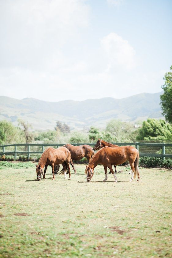  Rustic Romance in California, Wishbones & Whisky Events, Forage Florals, Brooke Borough Photography