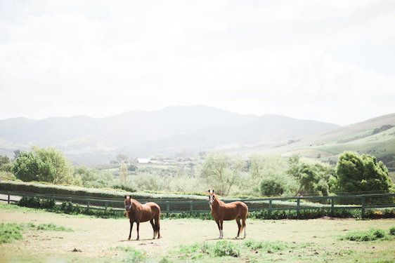  Rustic Romance in California, Wishbones & Whisky Events, Forage Florals, Brooke Borough Photography