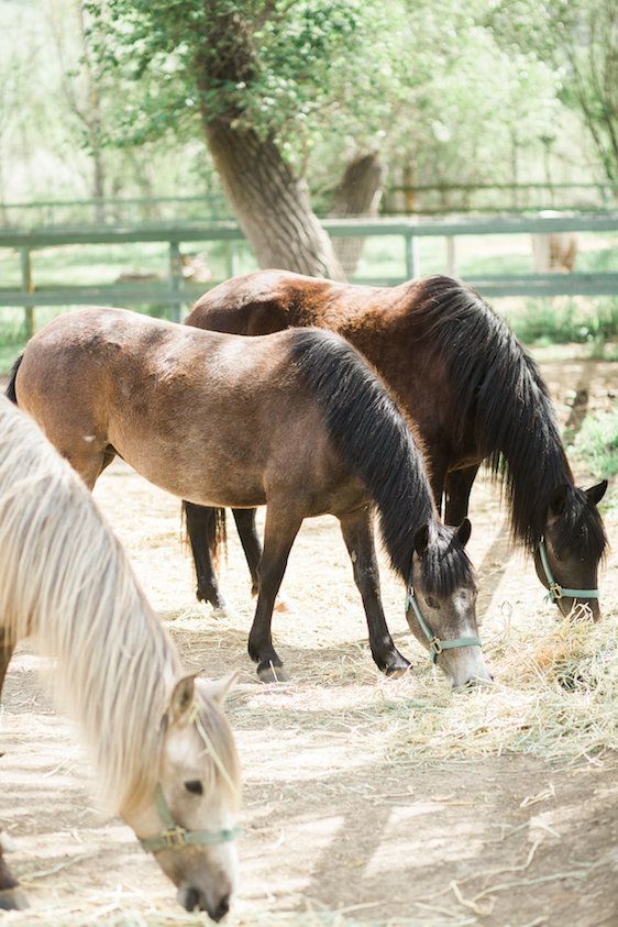  Rustic Romance in California, Wishbones & Whisky Events, Forage Florals, Brooke Borough Photography