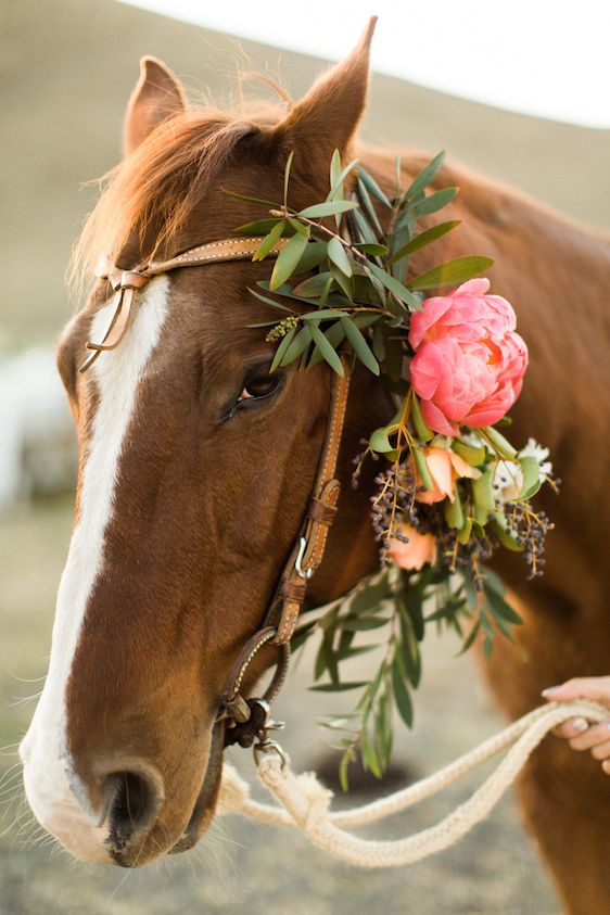  California Ranch Styled Shoot with Fall Foliage, Jeff Brummett Visuals, Design & Styling by Ariana Batz, Florals by Michelle Lywood