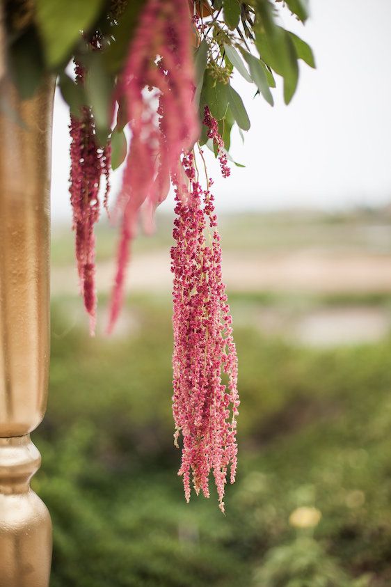  Blush & Burgundy: A Wedding in The Sonoma Vineyards, photos by Kathryn Rummel of Kreate Photography, florals by Bella Vita Event Productions