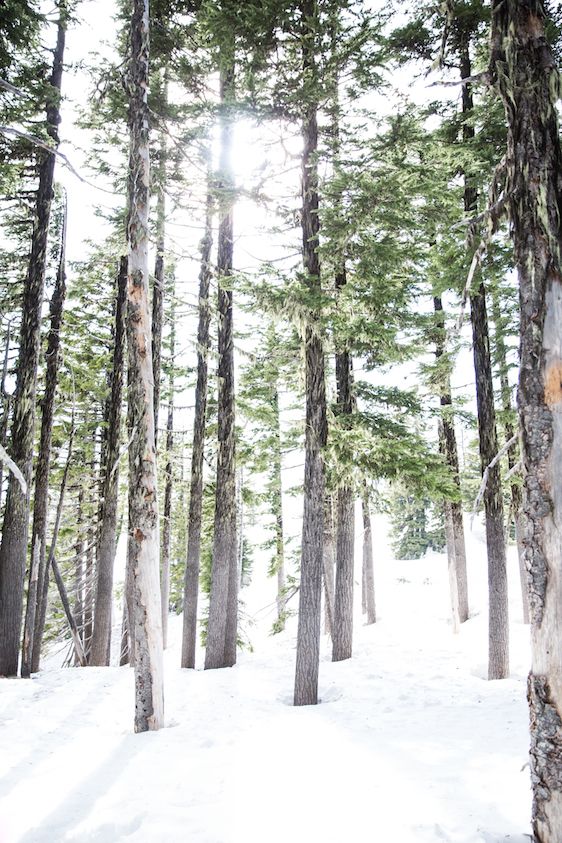 Winter Bridal Inspiration ​on Oregon's Mt Hood​