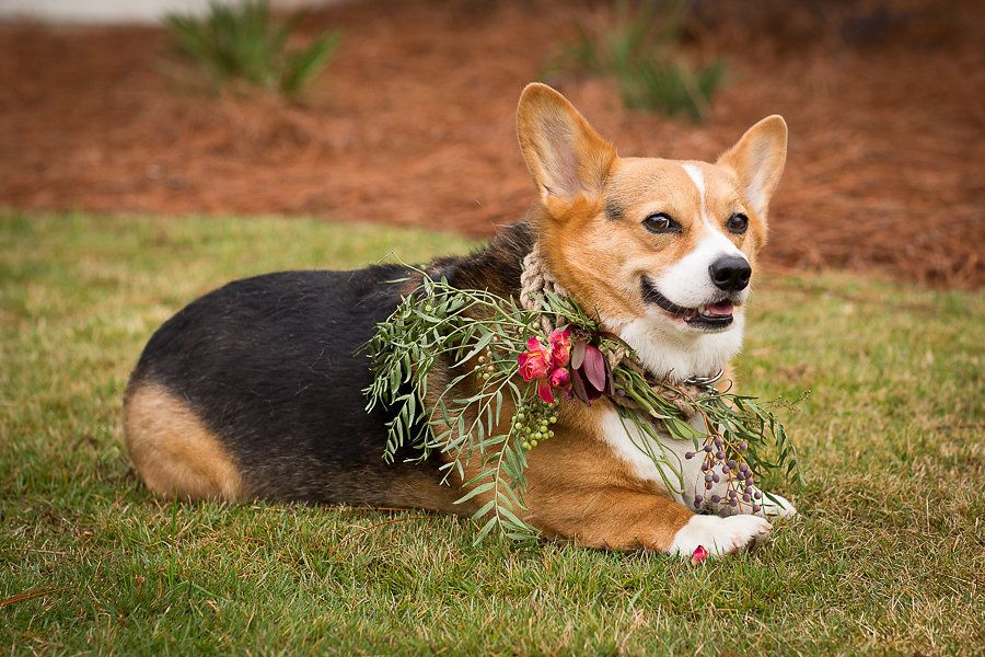 A Festive Holiday Shoot with Gorgeous Garlands 