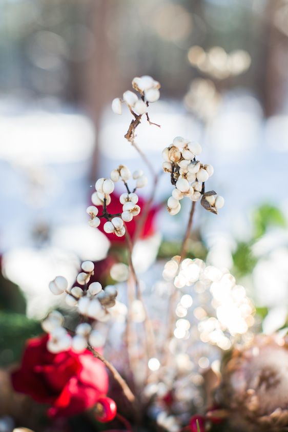  Snowy Winter Wedding Inspiration In Lake Tahoe 