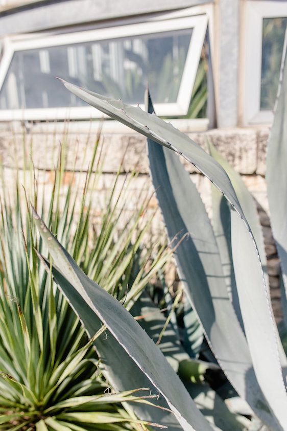  Greenhouse Desert Inspired Styled Shoot, Photography by Twin Lens Weddings, 3 Cups of Design + Florals