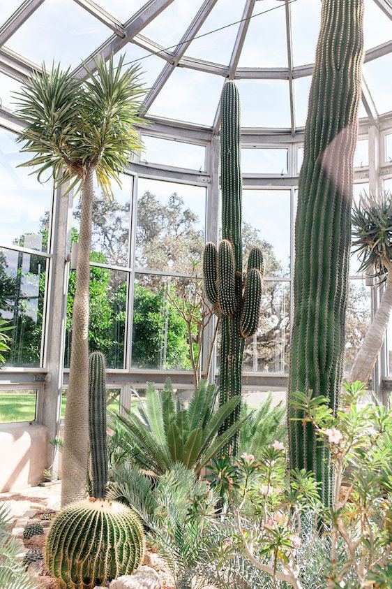  Greenhouse Desert Inspired Styled Shoot, Photography by Twin Lens Weddings, 3 Cups of Design + Florals