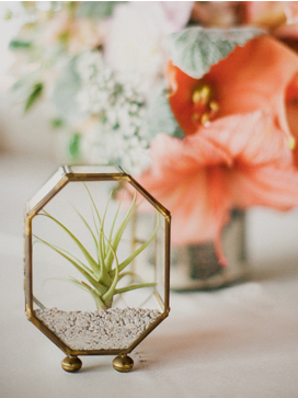 Handmade Geometric Terrariums by Waen - www.theperfectpalette.com - Wedding + Event Design