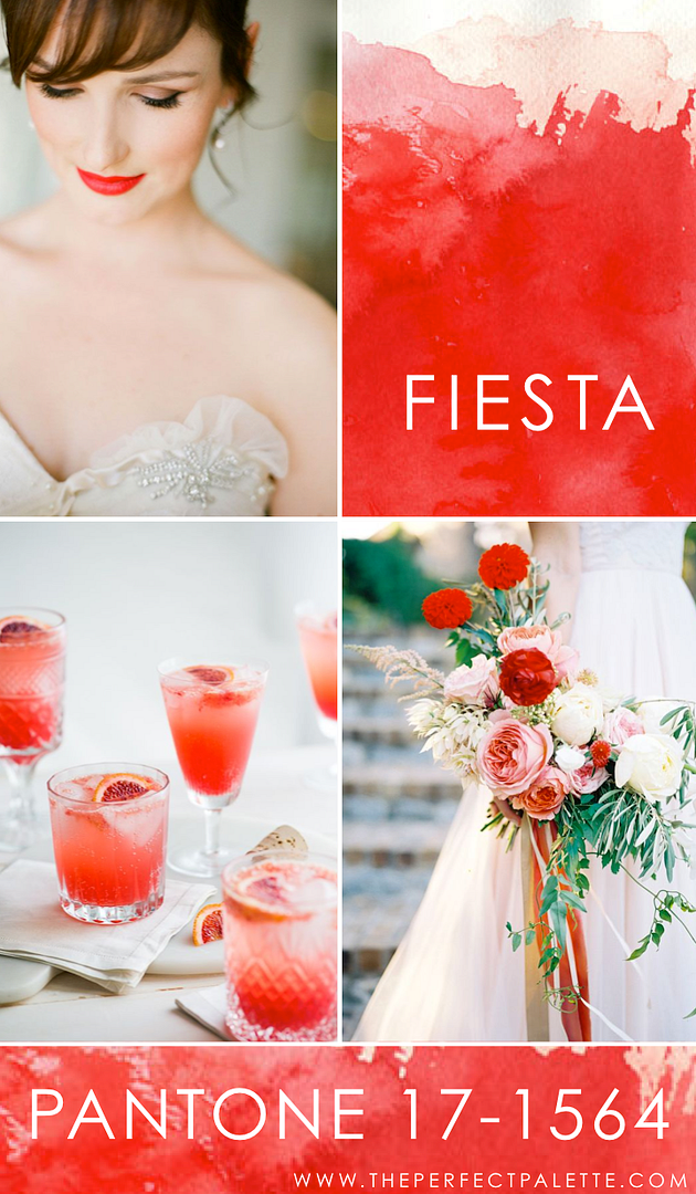 Pantone - Fiesta - 17-1564