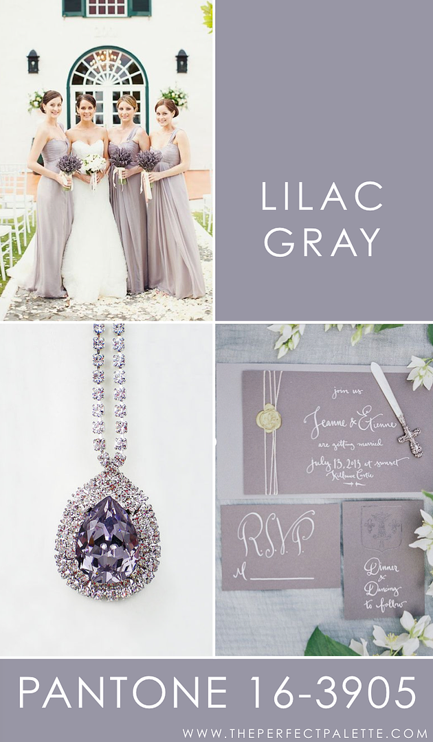 Lilac Gray - 16-3905