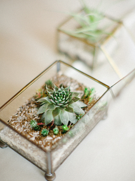 Handmade Geometric Terrariums by Waen - www.theperfectpalette.com - Wedding + Event Design