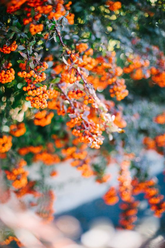 Spring Inspired Bridal Session - www.theperfectpalette.com - Christine Barlow Photography 