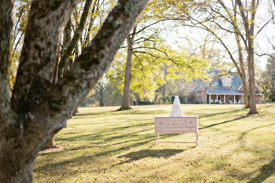 7 Wedding Cakes that Wow! www.theperfectpalette.com - Andie Freeman Photography, Southern Sophistication Designs, Sugar Kneads Cakery,