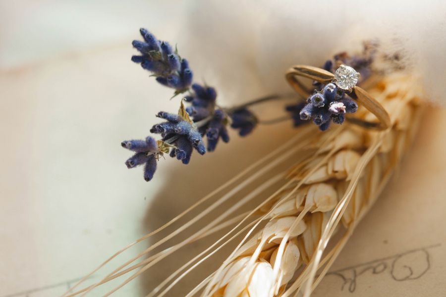 Antique Lavender Editorial - www.theperfectpalette.com - Ashley Noelle Edwards Photography