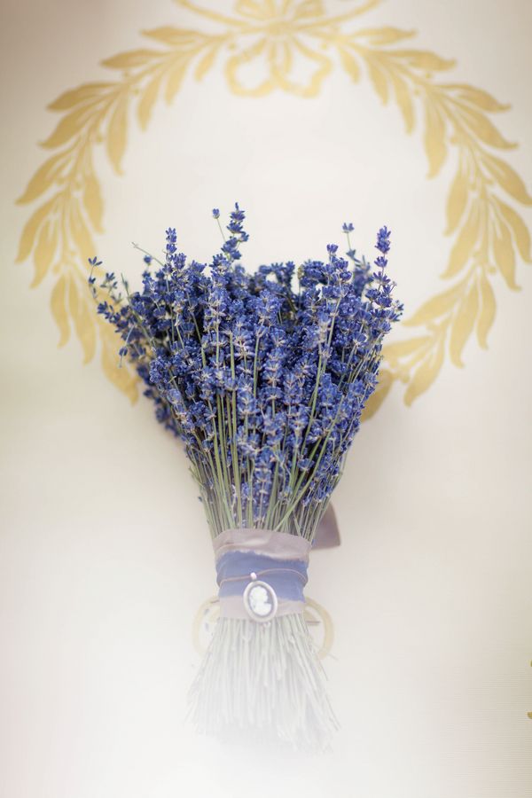  photoAntique Lavender Editorial - www.theperfectpalette.com - Ashley Noelle Edwards Photography.jpg
