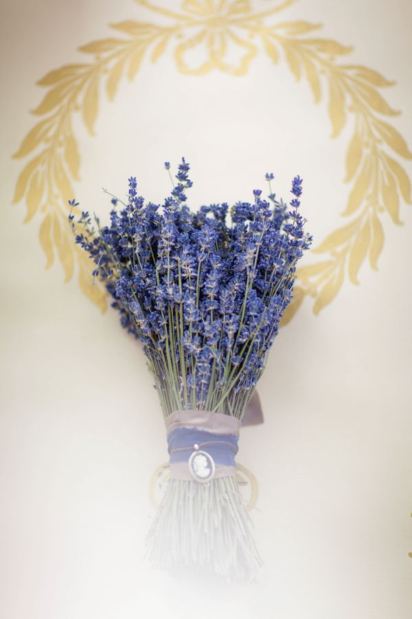 photoAntique Lavender Editorial - www.theperfectpalette.com - Ashley Noelle Edwards Photography.jpg