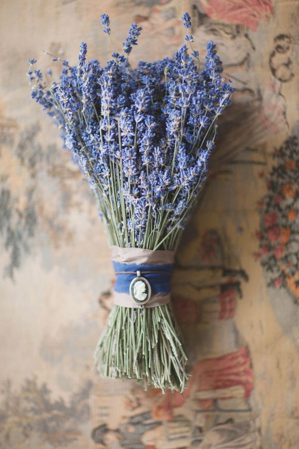 Antique Lavender Editorial - www.theperfectpalette.com - Ashley Noelle Edwards Photography