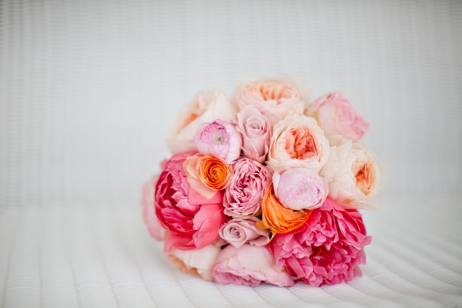photo Jacobs_Sferra_Ashley_Bartoletti_Photography_0006_low.jpg
