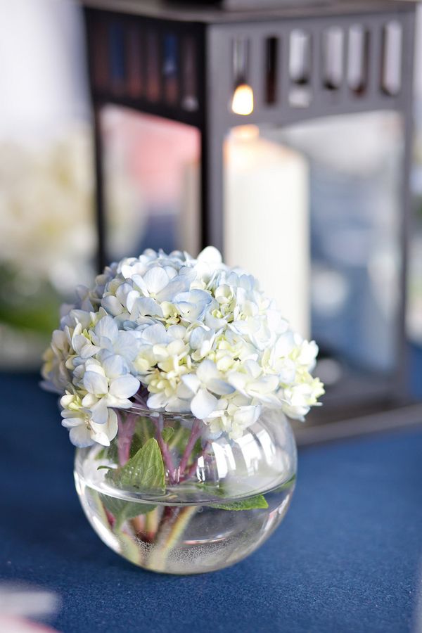 photo Jacobs_Sferra_Ashley_Bartoletti_Photography_0109_low.jpg