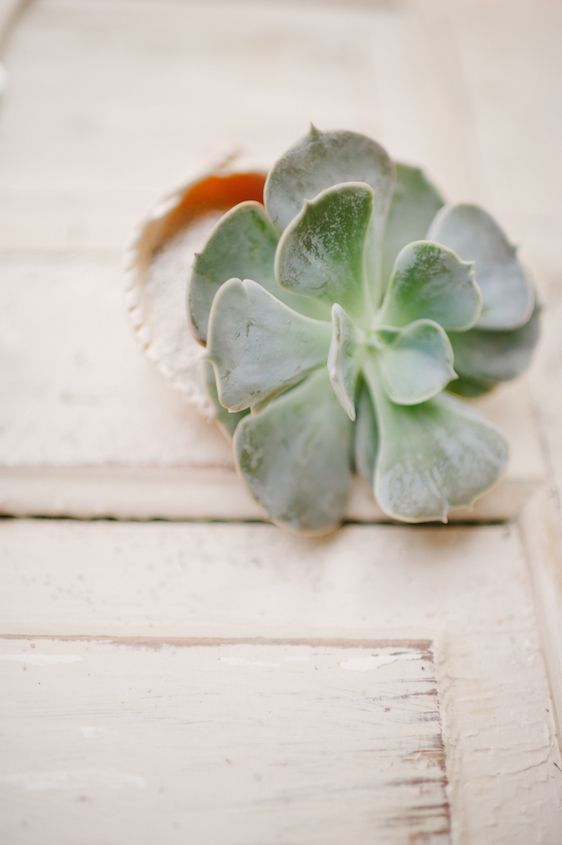 Coastal Chic Wedding Inspiration - www.theperfectpalette.com - Styled by The Perfect Palette, photos by Lauren Rae Photography, floral design by Bre Garvin of Juli Vaughn Designs