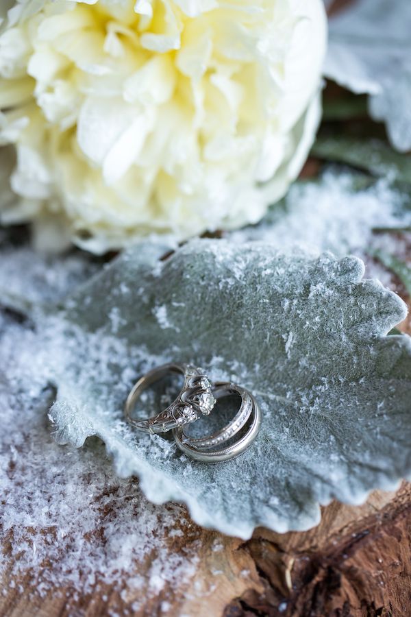 Winter Meets Old Hollywood Style - www.theperfectpalette.com - Elizabeth Victoria Phase 4 Photography, Knot Just Flowers
